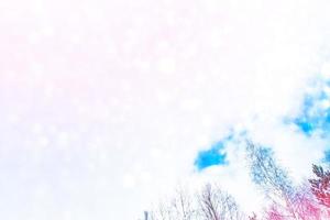 Frozen winter forest with snow covered trees. photo