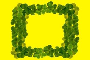 green clover leaves isolated on yellow  background. St.Patrick 's Day photo