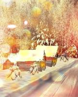 The village in winter forest photo