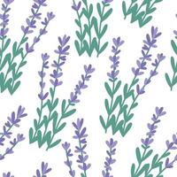 Hand drawn seamless pattern with lavender bunches, flat vector illustration on white background. Cute provence flowers. Purple plant with branch and leaves.