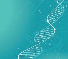 medical dna structure vector