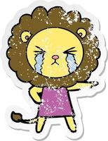 distressed sticker of a cartoon crying lion wearing dress vector