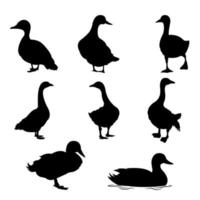 un conjunto de siluetas vectoriales de pato aisladas en un fondo blanco. vector