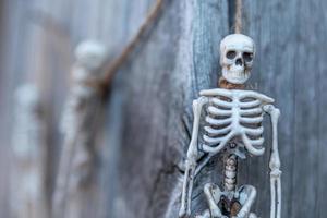 Trick or Treat concept. Preparation for Halloween party. Scary traditional decoration skeleton monster with scary face hanging on wooden background. Autumn fall happy Halloween. photo