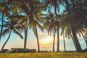 Summer background with coconut trees and sunset warm tone. Vung Tau city aerial view with beautiful sunset and palm tree. Vung Tau is the capital of the province since the province's founding. photo