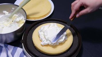 Lady using spatula for cream decoration, people making homemade bakery concept video