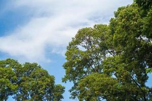 verano de nubes de fondo. verano de nubes. cielo nube cinemática. fondo de textura de puesta de sol hermosa y cinematográfica de cielo natural foto