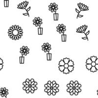 Chrysanthemum Flower Vector Seamless Pattern