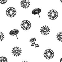 Chrysanthemum Flower Vector Seamless Pattern