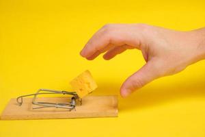 Hand reaches for piece cheese in mousetrap on a yellow background.Concept business, life and hard work and freebies. photo