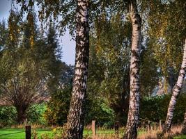 tiempo de otoño en westfalia foto