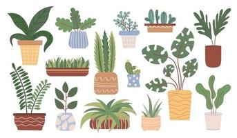 conjunto de plantas de interior en maceta. colección de suculentas, cactus o plantas de follaje verde que crecen en jardineras o macetas. ilustración vectorial en estilo plano. vector