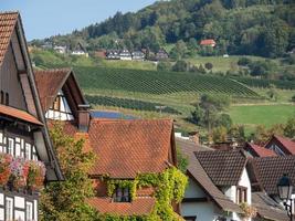 the black forest in germany photo