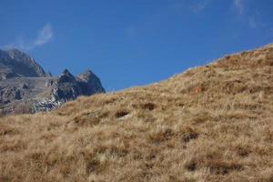 hiking in the swiss alps photo