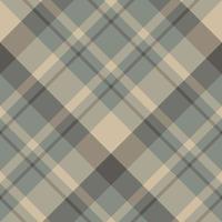 Seamless pattern in fascinating swamp gray and beige colors for plaid, fabric, textile, clothes, tablecloth and other things. Vector image. 2