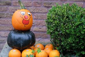 calabazas en el muensterland alemán foto