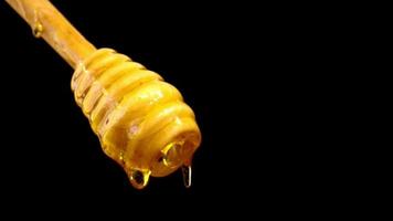 honing die van honingsdipper giet. deze clip toont honing die op een houten honingslepel druipt. video