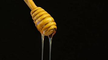 Honey Pouring From Honey Dipper. This clip shows Honey dripping on wooden honey dipper. video