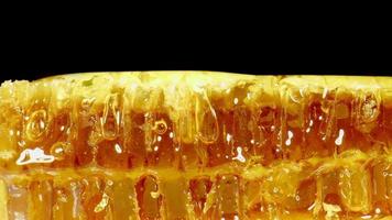 Slider shot of honeycomb. Sweet honey in honeycomb close-up. Healthy and eco natural sugar food. video