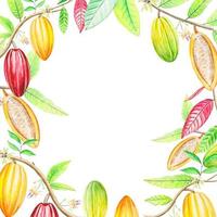 Border with cocoa fruits. watercolor vector