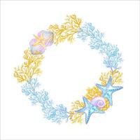 Sea wreath of algae and shells vector