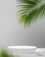 Cosmetic light gray background minimal and premium podium display for product presentation branding and packaging presentation. studio stage with shadow of leaf background. 3D illustration design photo