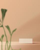 Cosmetic light brown background minimal and premium podium display for product presentation branding and packaging presentation. studio stage with shadow of leaf background. 3D illustration design photo
