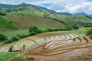 las terrazas de arroz y la agricultura se presentaron en el campo de la provincia de chiang rai, la provincia del norte de tailandia. foto