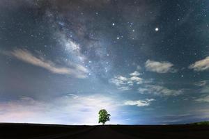 The Lonely tree under the starry night sky and the milky way. photo