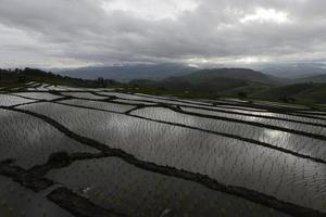 campo de terrazas de arroz ban pa pong piang en la provincia de chiang mai de tailandia al atardecer. foto