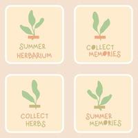 pegatinas de verano con pequeñas plantas y colección de texto. vector