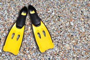 yellow fins and sand beach photo