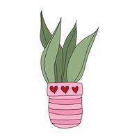 Home plant cactus in a pink pot. Cute vector doodle illustration of house plant