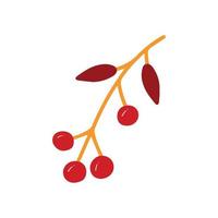 Autumn branch with berries isolated on a white background. vector