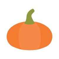 Hand drawn illustration of autumn pumpkin. Isolated element on white background. Harvesting. vector
