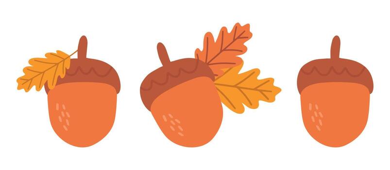 A set of Acorn icons. Cartoon Acorn Vector Icon Set for Web Design