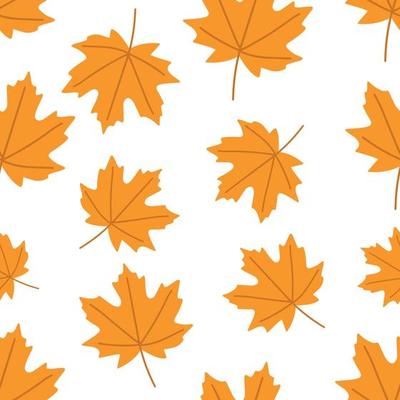Autumn pattern with colorful maple leaves on a white background.