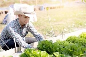 Asian young man farmer checking and holding fresh organic vegetable in hydroponic farm, produce and cultivation green cos for harvest agriculture with business, healthy food concept. photo