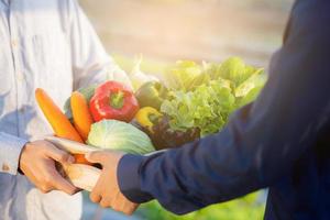 Two young asian man picking up fresh organic vegetable with basket together in the hydroponic farm beautiful, harvest and agriculture and cultivation for healthy food and business concept. photo