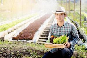 retrata a un joven asiático sonriendo cosechando y recogiendo huertas orgánicas frescas en una canasta en la granja hidropónica, agricultura y cultivo para alimentos saludables y concepto de negocios. foto