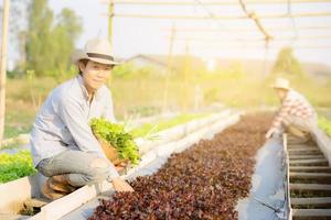 Beautiful young asian man and woman picking up fresh organic vegetable with basket together in the hydroponic farm, harvest and agriculture and cultivation for healthy food and business concept. photo