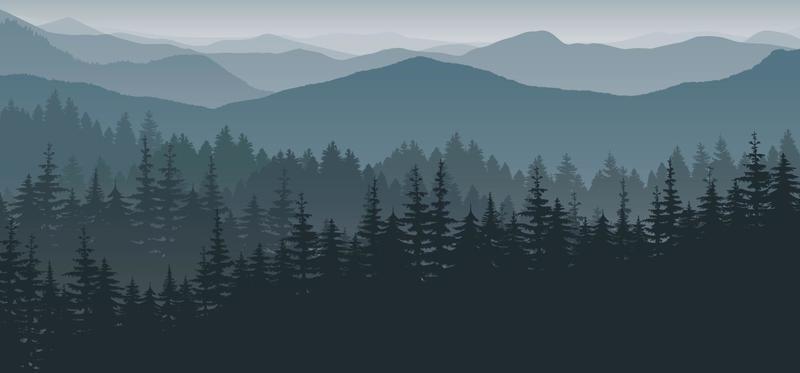 Pine Forest Vector Art, Icons, and Graphics for Free Download