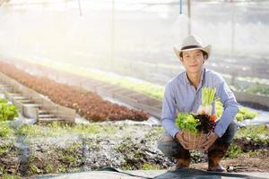 retrata a un joven asiático sonriendo cosechando y recogiendo huertas orgánicas frescas en una canasta en la granja hidropónica, agricultura y cultivo para alimentos saludables y concepto de negocios. foto