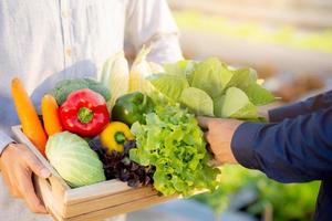 dos jóvenes asiáticos recogiendo vegetales orgánicos frescos con canasta juntos en la hermosa granja hidropónica, cosecha y agricultura y cultivo para alimentos saludables y concepto de negocios. foto