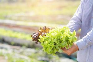 Young asian man farmer holding fresh organic green oak and red oak romaine lettuce for inspect quality in the hydroponic farm, harvest agriculture vegetable garden with business, healthy food concept. photo