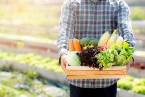 retrata a un joven asiático sonriendo cosechando y recogiendo huertas orgánicas frescas en una canasta en la granja hidropónica, agricultura y cultivo para alimentos saludables y concepto de negocios. foto