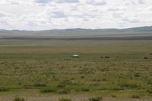 Green landscape in rural Mongolia. Yurta in the distance photo