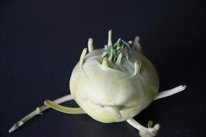 Kohlrabi or german turnip, a strange vegetable with black background photo