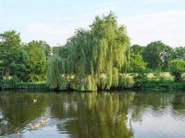 lake near borken in the german muensterland photo