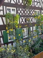 the black forest in germany photo